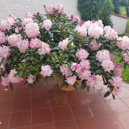 Willa Casa Vittoria Corsanico-Bargecchia Zewnętrze zdjęcie