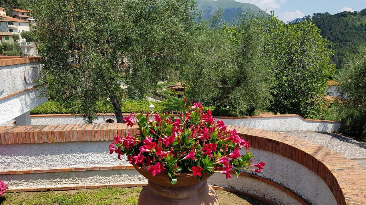 Willa Casa Vittoria Corsanico-Bargecchia Zewnętrze zdjęcie
