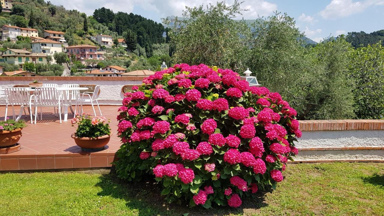 Willa Casa Vittoria Corsanico-Bargecchia Zewnętrze zdjęcie