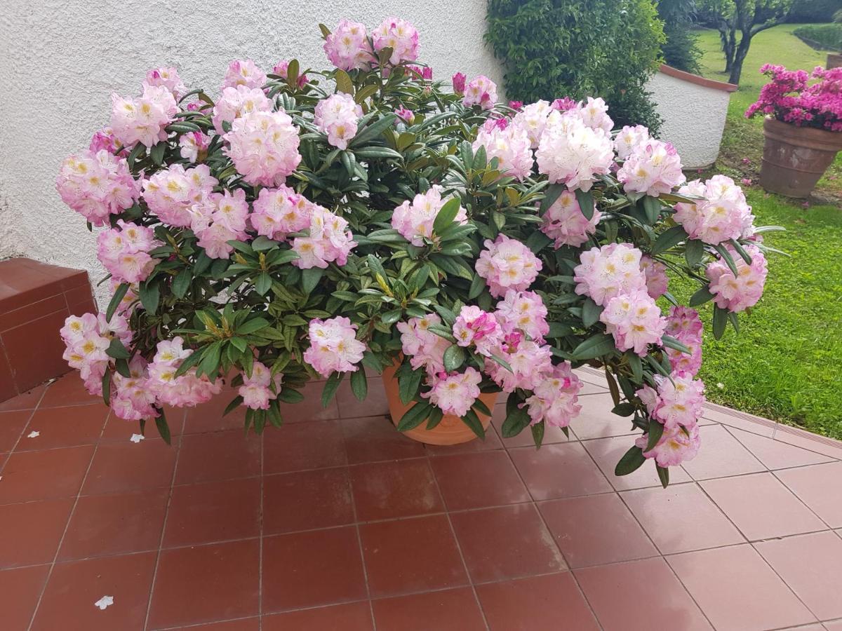 Willa Casa Vittoria Corsanico-Bargecchia Zewnętrze zdjęcie